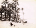 J. Pascal Sebah - Palm Grove with Nubians Along the Nile