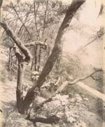 Jean-Eugene-Auguste Atget - Porte Dauphine, Les Fosses des Fortifications