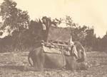 Anonymous - Elephant: The How-da and Litchmer, Old decoys