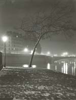 Maurice Georges Chanu - Tree Study in Snow along Seine, Paris