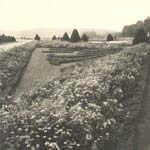 Laure Albin-Guillot - Versailles Laure Albin-Guillot - Versailles
