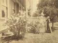 Hill of Pasadena - Rose Garden