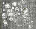 Arthur Siegel - Photogram