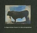 Quentin Bajac, Dominique Planchon-de Font-Reaulx, et. al. - Le Daguerreotype Francaise: Un Objet Photographique