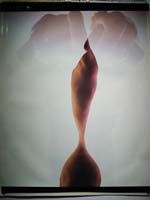 Jack Welpott - Configured (Nude, Back-to-Back, Doubled)