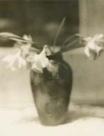 Walter Guigan - Chinese Vase of Daffodils