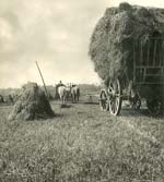 Jean-Marie Auradon - Harvest Jean-Marie Auradon - Harvest