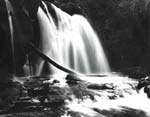 Dominique Auginot - Cascades
