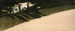 Van Huynh - Panoramic View of Vietnamese Workers on Dune