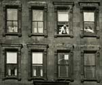 Anonymous - Apartment Windows
