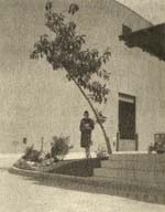 Sigismund Blumann - Bonnie beneath the Bough Sigismund Blumann - Bonnie beneath the Bough