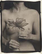 Ray Bidegain - Maple Leaf and Female Nude