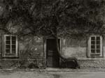 Stanko Abadžic - Forgotten Bicycle Stanko Abadžic - Forgotten Bicycle