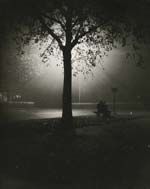 Brassai (Gyula Halasz)? - Couple on Bench at Night, Paris