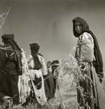 Denise Bellon - Berbers Harvesting, Morocco Denise Bellon - Berbers Harvesting, Morocco