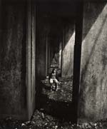 Arthur Tress - A Boy Sits under an Abandoned Railroad Track, Staten Island, NY
