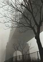 Susan McCartney - 59th Street Bridge in Fog, New York City, NY