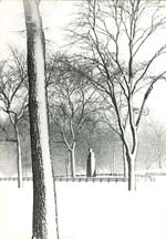 Susan McCartney - Central Park, NYC Susan McCartney - Central Park, NYC