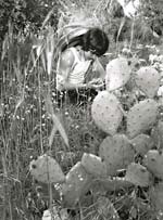 Stanko Abad�ic - A Boy with Sombrero
