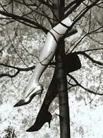 Marcel Marien - Le Fruit Defendu (The Forbidden Fruit)