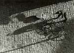 Stanko Abad�ic - A Day When Everything Goes Wrong, Prague