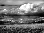 Mitch Dobrowner - Civilization, Los Angeles, CA Mitch Dobrowner - Civilization, Los Angeles, CA