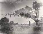 Clarence John Laughlin - Elegy for Moss Land