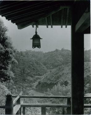 Koichi Sato - Untitled (lush landscape in background) Koichi Sato - Untitled (lush landscape in background)