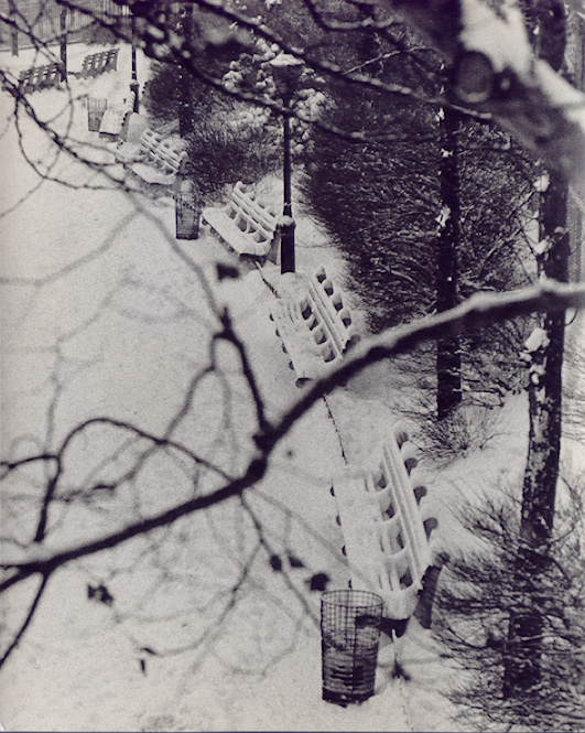 F.B. Grunzweig - Park in Snow, New York City F.B. Grunzweig - Park in Snow, New York City