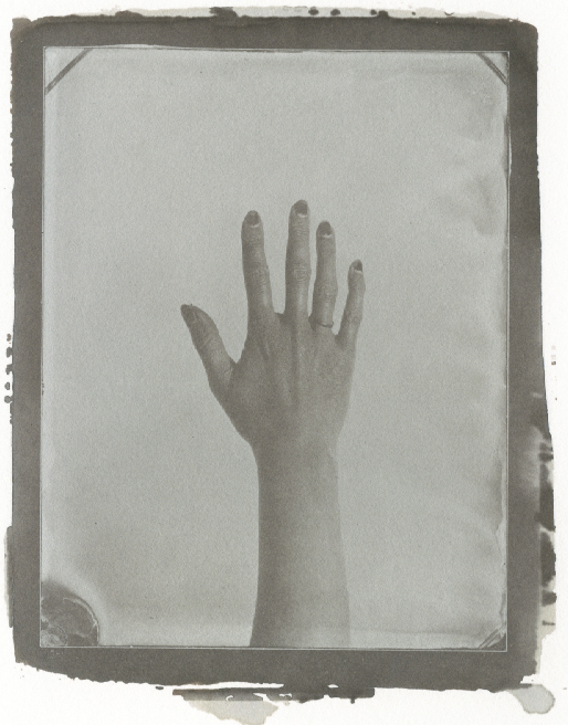 Bill Westheimer - Kate Owens' Hand Bill Westheimer - Kate Owens' Hand