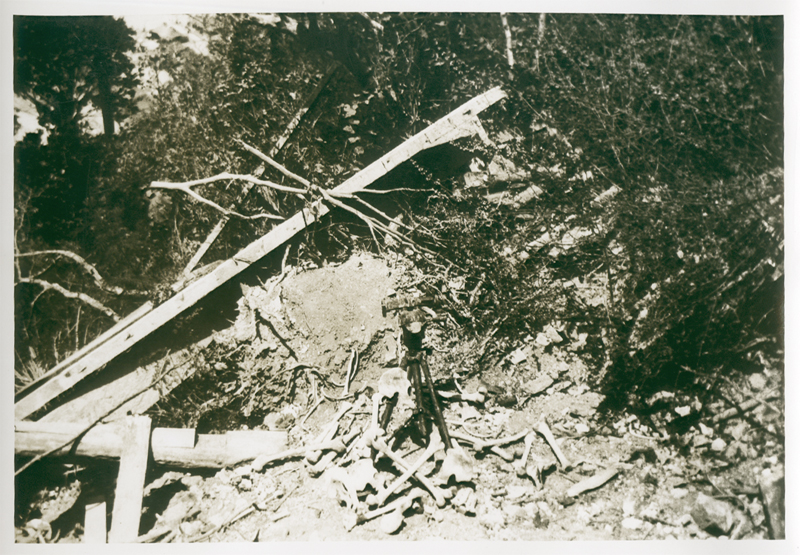 Anonymous (Two African American Photographers) - Large Collection of Photographs by Two African American Photographers: A Professional Military Photographer (in the US and the Phillippines) and an Amateur Photographer and Soldier(of US training camp and California Scenery)