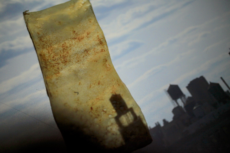 Charles Schwartz - Camera Obscura Projection: Cityscape Charles Schwartz - Camera Obscura Projection: Cityscape