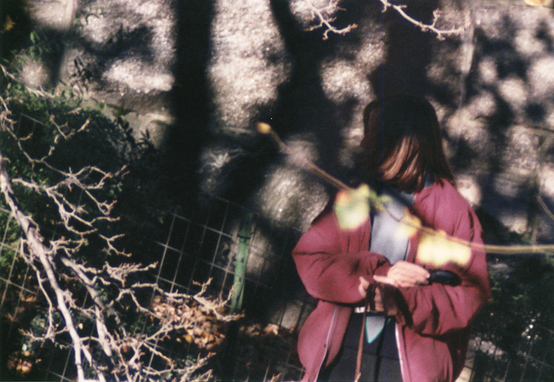 Charles Schwartz - Camera Obscura: Nancy in Central Park Charles Schwartz - Camera Obscura: Nancy in Central Park