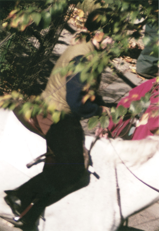 Charles Schwartz - Camera Obscura: Horse Rider in Central Park Charles Schwartz - Camera Obscura: Horse Rider in Central Park