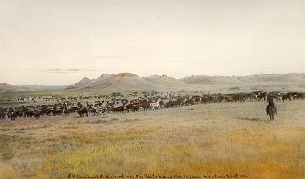 Layton Huffman - Evening at the Round-Up, Neg Point