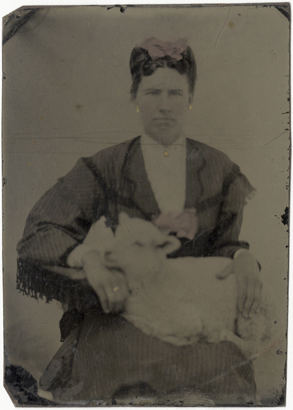 Anonymous, American - Portrait of a Woman Holding a Lamb on her Lap Anonymous, American - Portrait of a Woman Holding a Lamb on her Lap