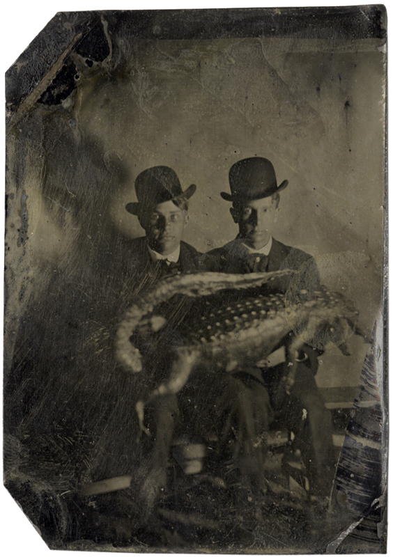 Anonymous, American - Portrait of Two Men with an Alligator Across Their Laps Anonymous, American - Portrait of Two Men with an Alligator Across Their Laps