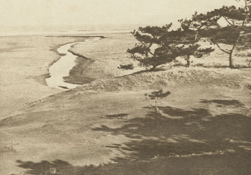 Shirasuna Aomatsu ("White Sand, Green Pine")