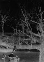 Charles Schwartz - Camera Obscura: Overlooking the Reservoir