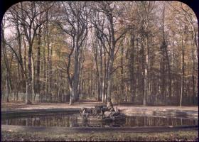 Anonymous - Gardens at Versailles