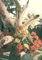 Anonymous, American - Bouquet of flowers