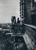 Beaumont Newhall - History of Photography: From 1839 to the Present Day