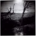 Dicran Derderian - Untitled