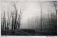 Harold Feinstein - Korean War, Soldiers on March in Bare Forest