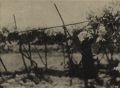 Hozan Yamada - Budou-batake (The Vineyard)