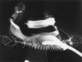 Harold E.  Edgerton - Tennis Serve