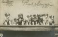 Anonymous - Four Postcards of Dogs from United Kingdom; France and Switzerland