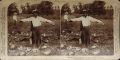 Underwood & Underwood/B.L. Singley - Five Staged Stereocards of African Americans