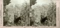 Ben W. Kilburn - Two Stereocards of Photographers with their Cameras