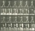 Eadweard Muybridge - Animal Locomotion, Plate 274
(Man Swinging a Bat)